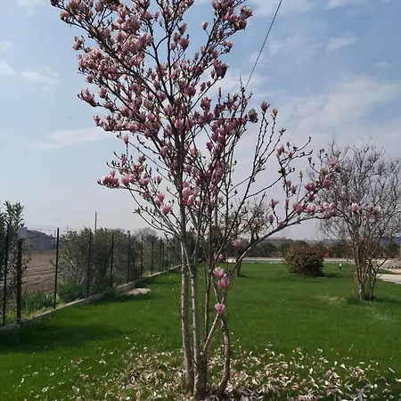 Cascina Olmetto Di Sotto Ghedi