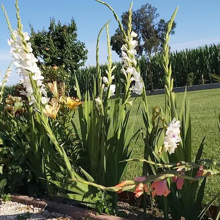 Bed & Breakfast Cascina Olmetto Di Sotto *