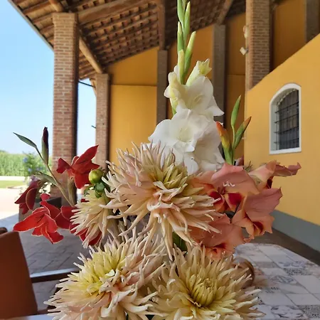 Bed & Breakfast Cascina Olmetto Di Sotto Ghedi