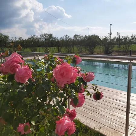 Cascina Olmetto Di Sotto * Ghedi