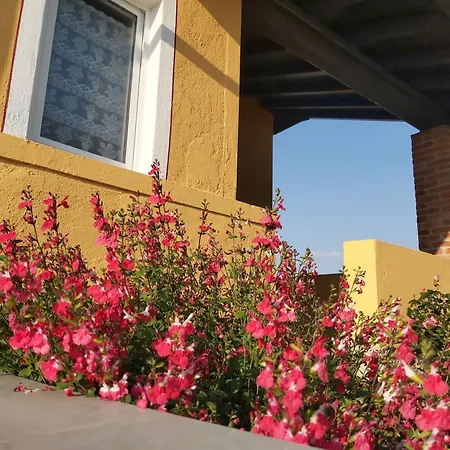 Cascina Olmetto Di Sotto Bed & Breakfast *